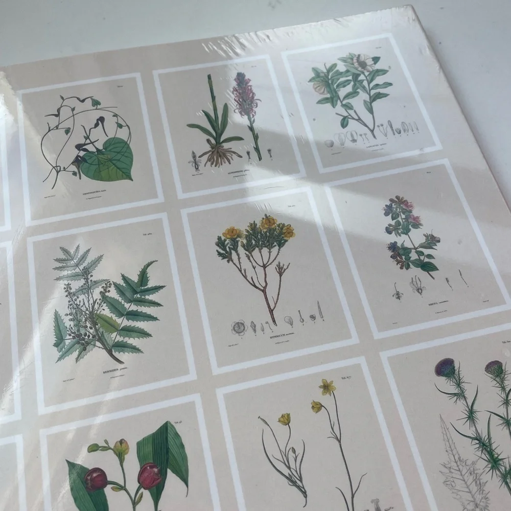 NWT Urban Outfitters Alexander von Humboldt Botanical Illustrations 22 Posters